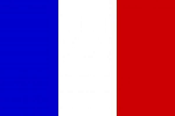 VSVE1015
